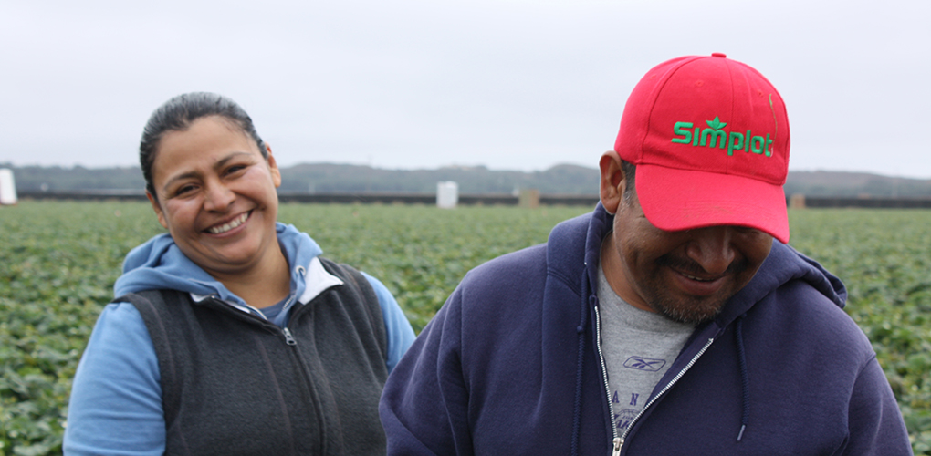 Immigrants to US find opportunities amid strawberries