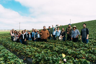 California Strawberry Farm Tour